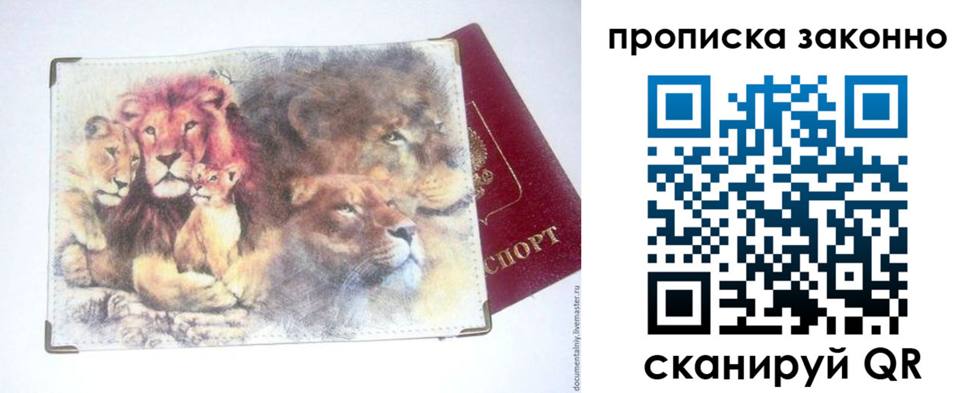 прописка от собственника в Дальнегорске